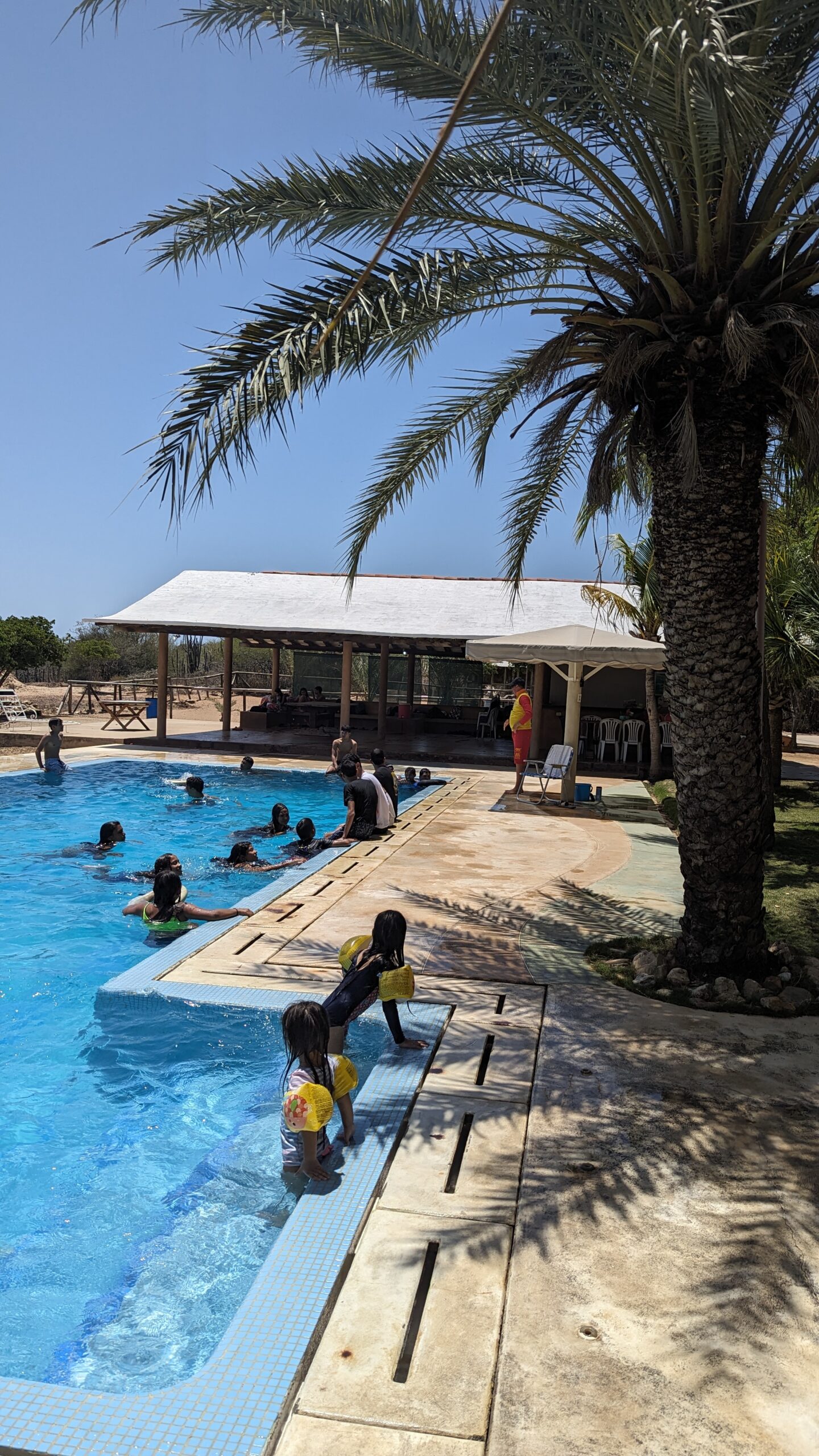 PXL_20240309_164702720.MP