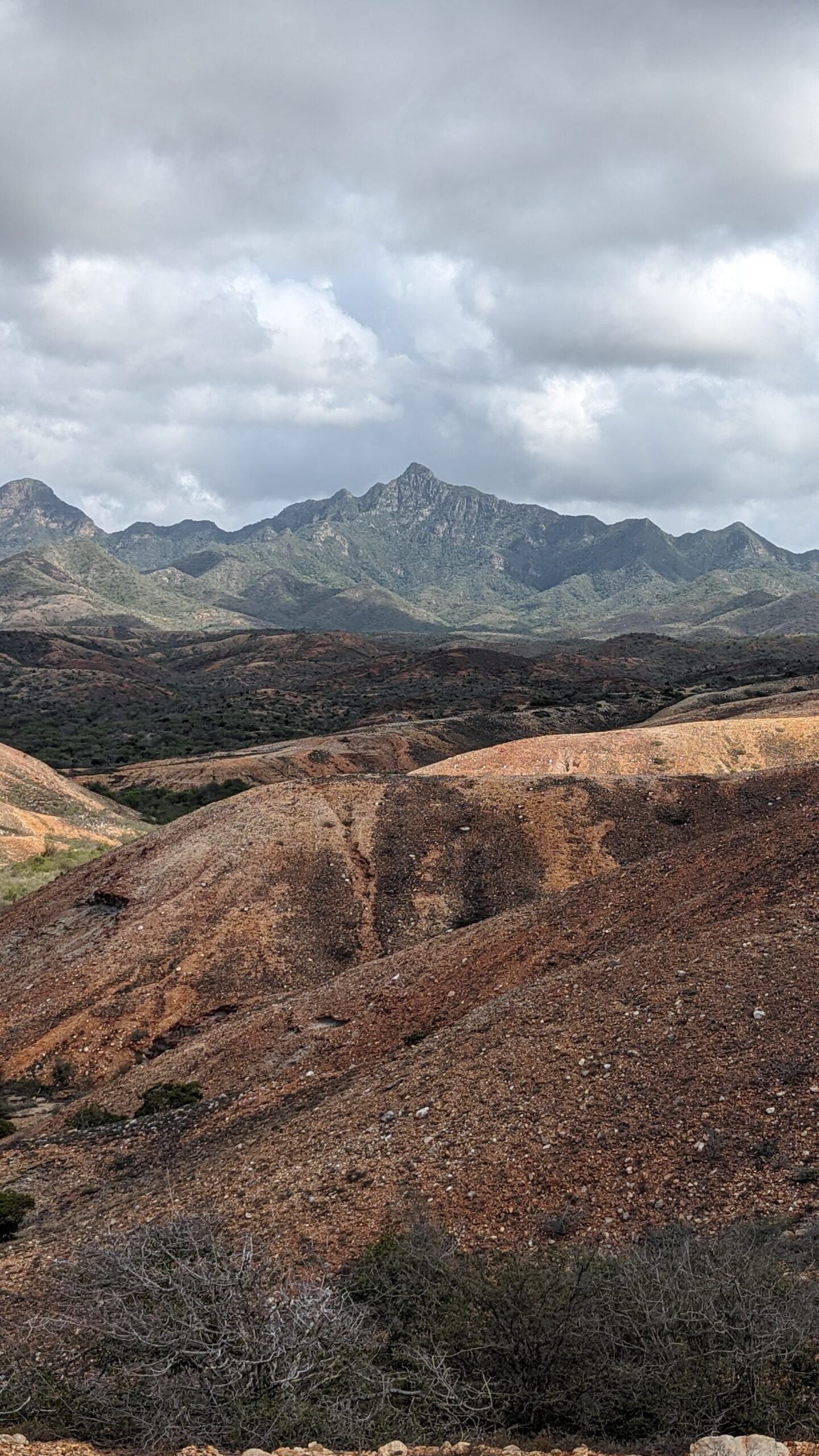 PXL_20240420_133226377