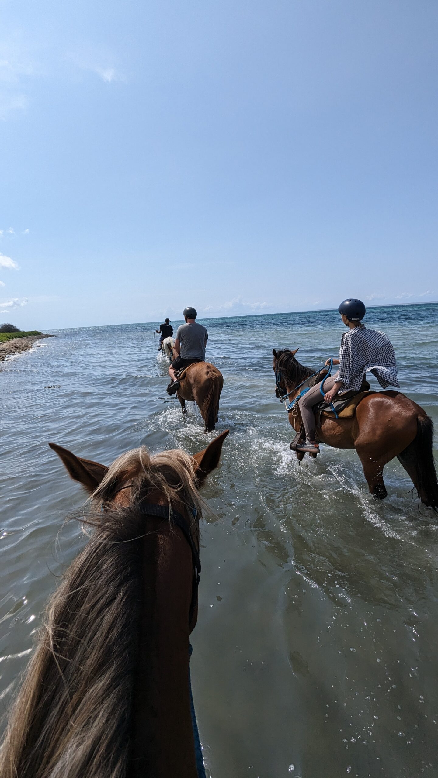 PXL_20240420_140003226